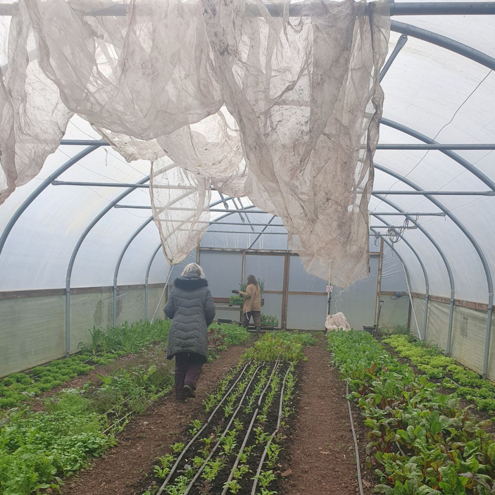 Seed saving at The Sharpham Trust