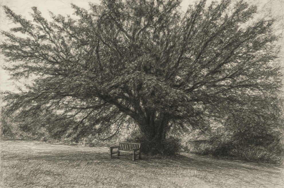 The Sharpham Yew as an (AI) sketch