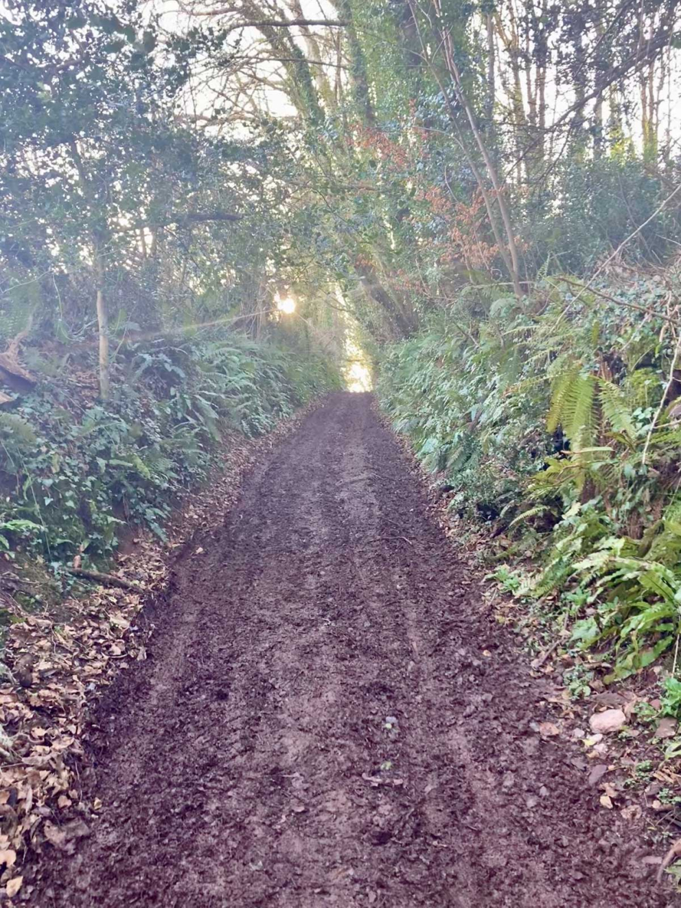 A muddy path leading uphill but towards the emerging sunlight
