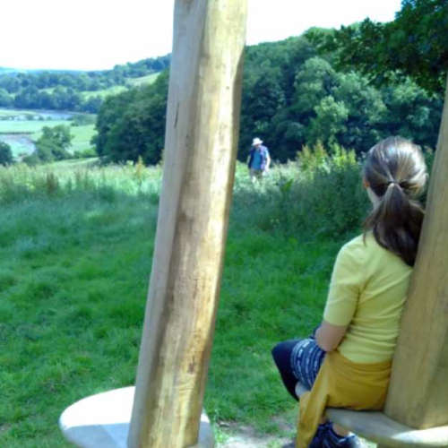 The completed Green Oak Bench on the Sharpham Estate, inhabited by Maya Herbolzheimer, from The Sharpham Trust