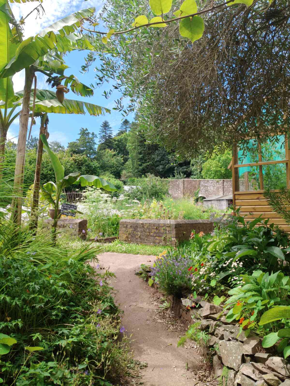 The entrance to the 18th century Walled Garden at Sharpham in July 2025
