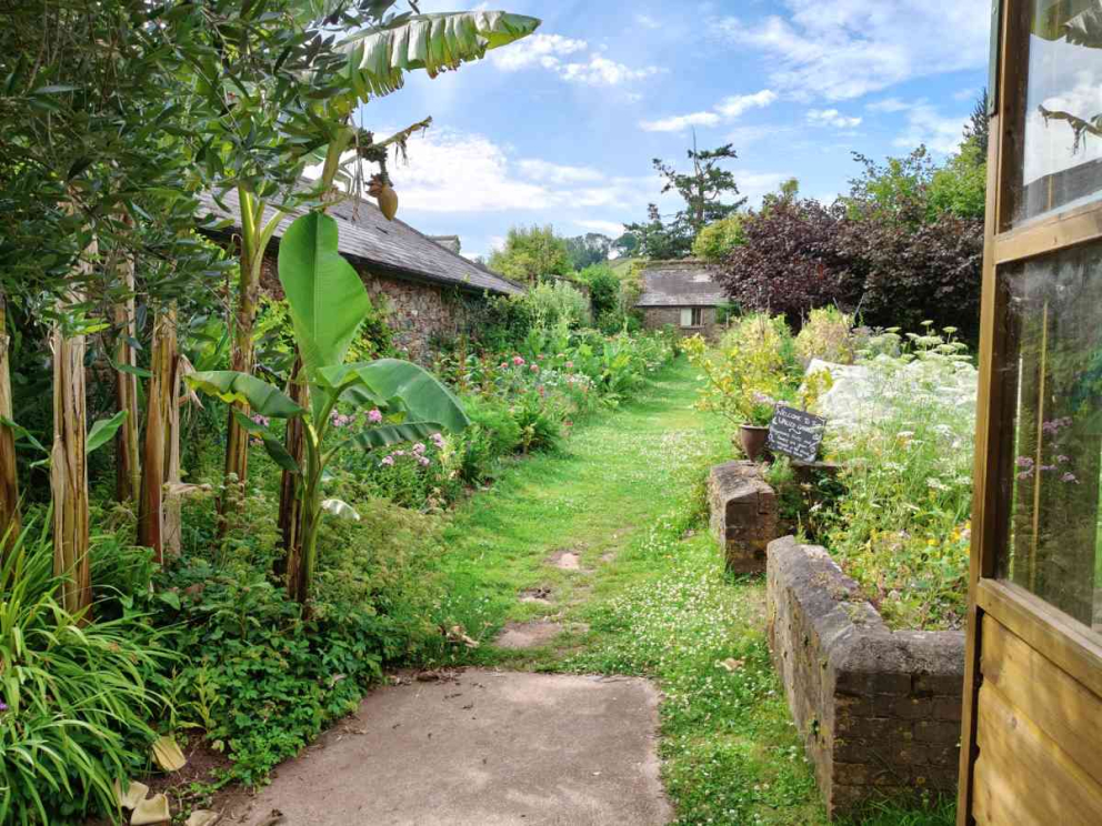 The entrance to the 18th century Walled Garden at Sharpham in July 2025