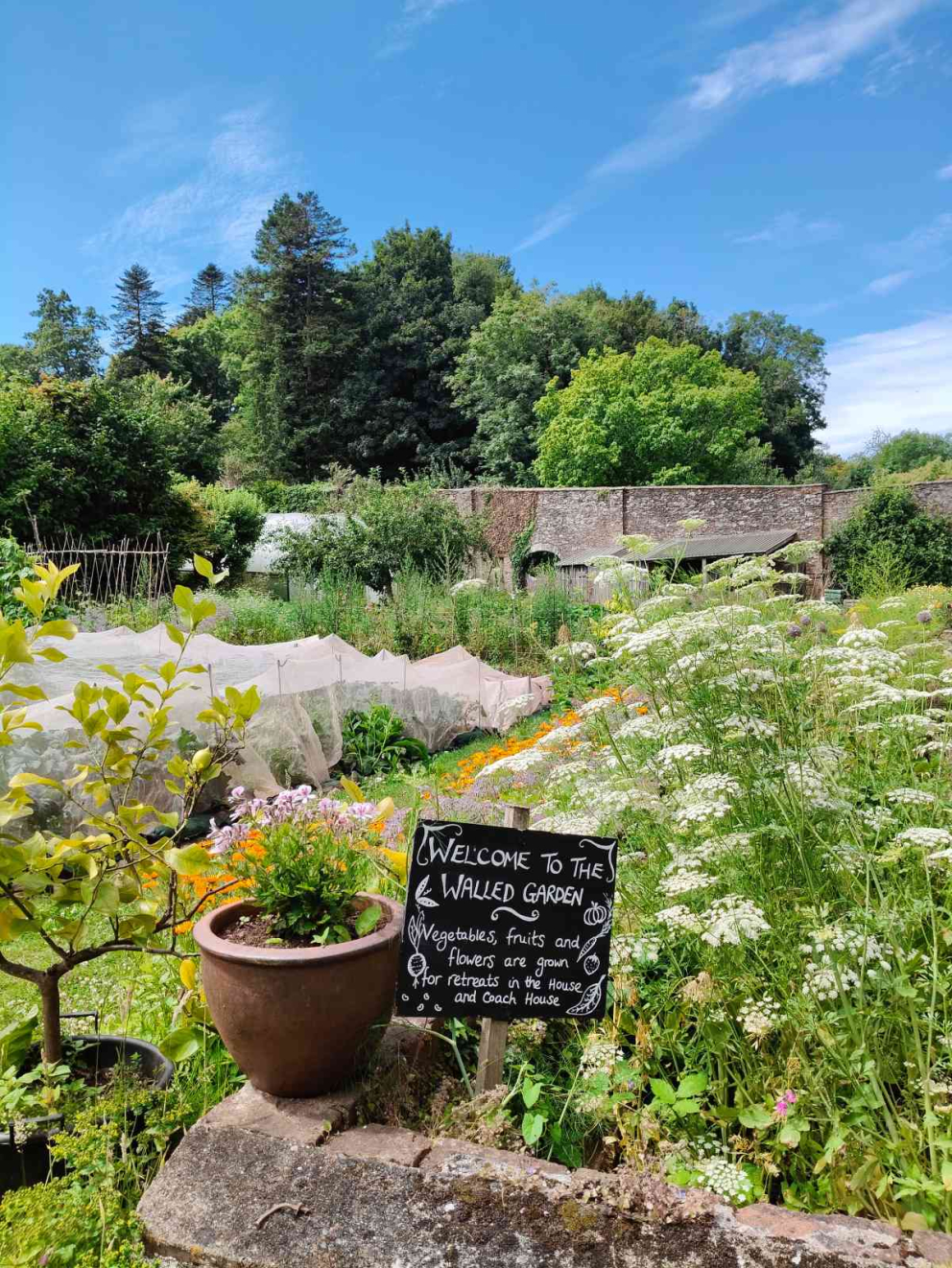 Welcome to our Walled Garden! July 2025