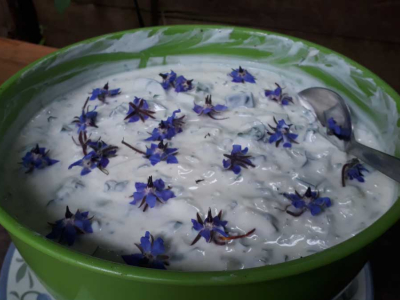 Harvest feast for volunteers, 2019