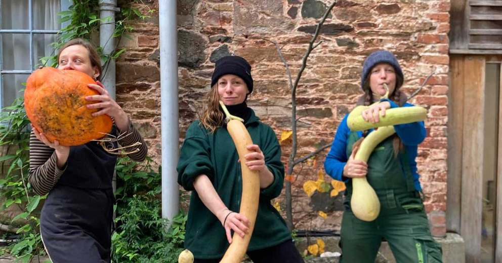 Unusual squash and pumpkins grown in the Walled Garden