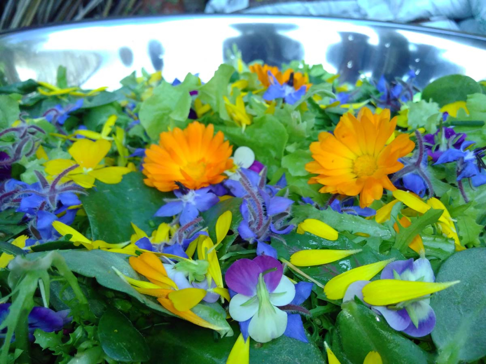 One of the delicious offerings at the Harvest Feast in the Walled Garden at Sharpham House