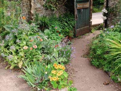 Exiting the Walled Garden past further flowers - July 2025