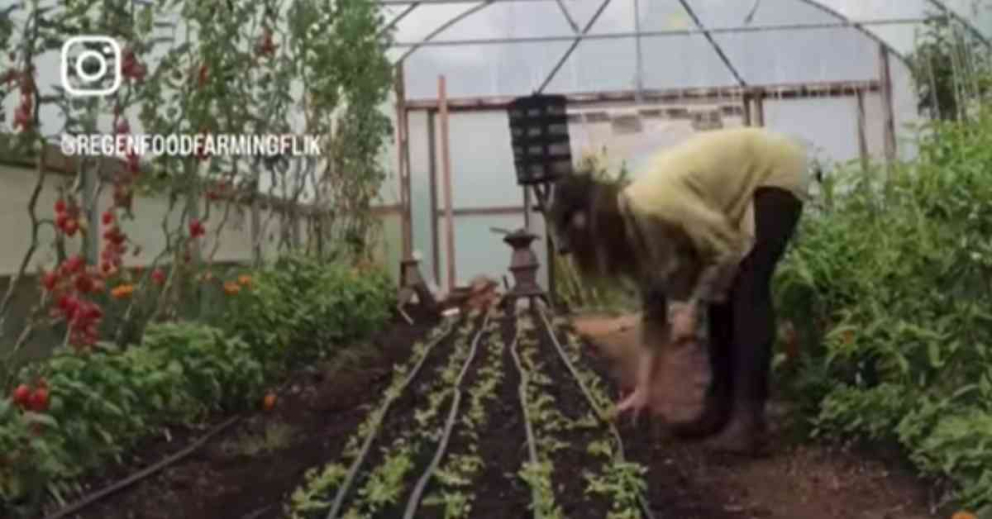 Flik Le Prevost timelapse inside the Sharpham Trust olytunnel