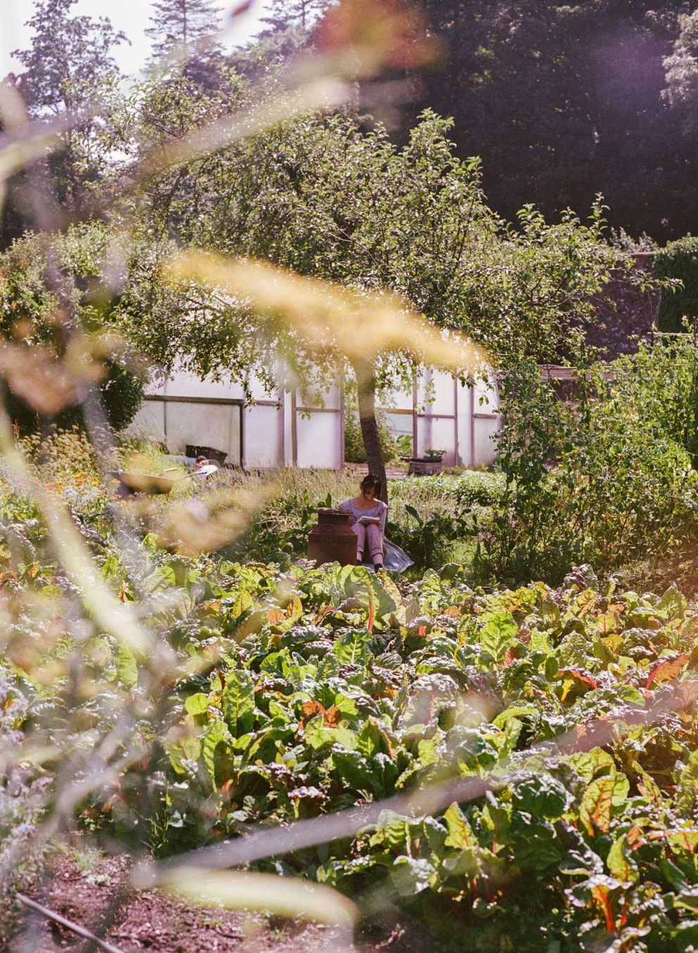 Pictures of Sharpham by Kasia Murfet for Emergence Magazine