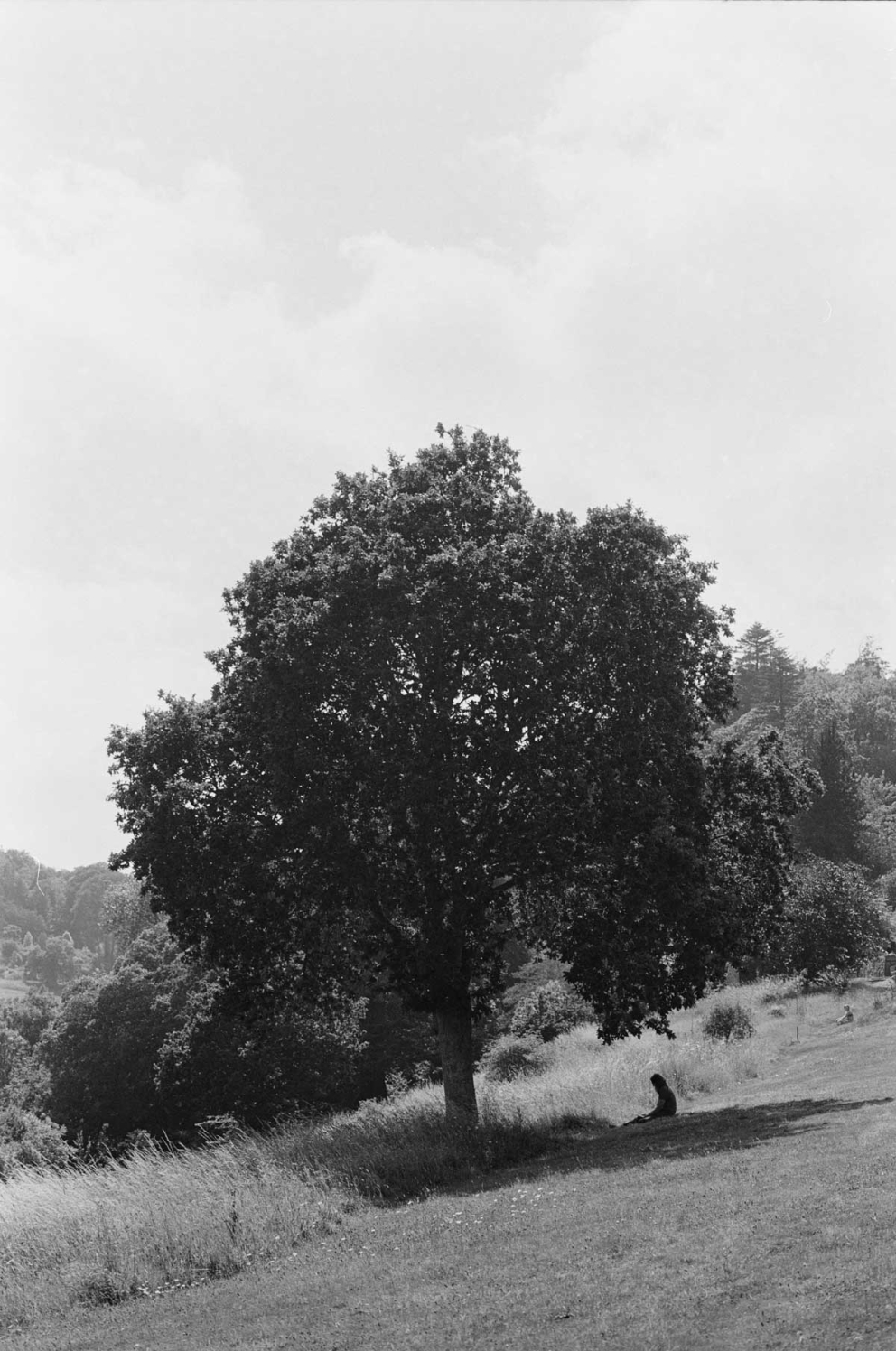 Pictures of Sharpham by Kasia Murfet for Emergence Magazine