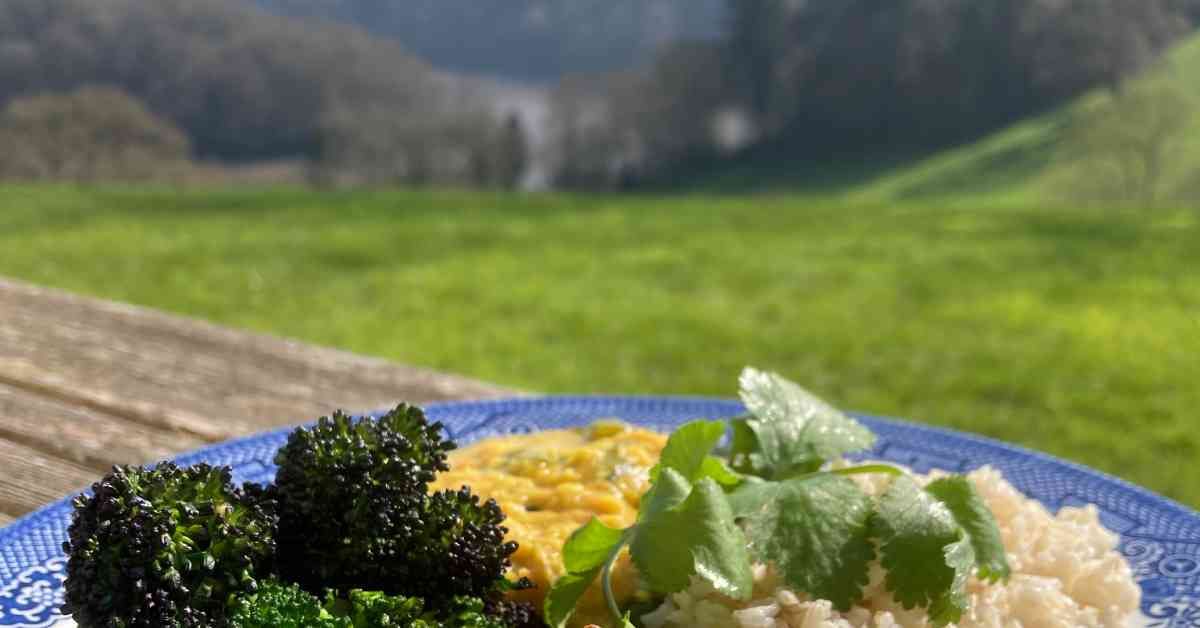 Simple dal with kale | Recipe | The Sharpham Trust