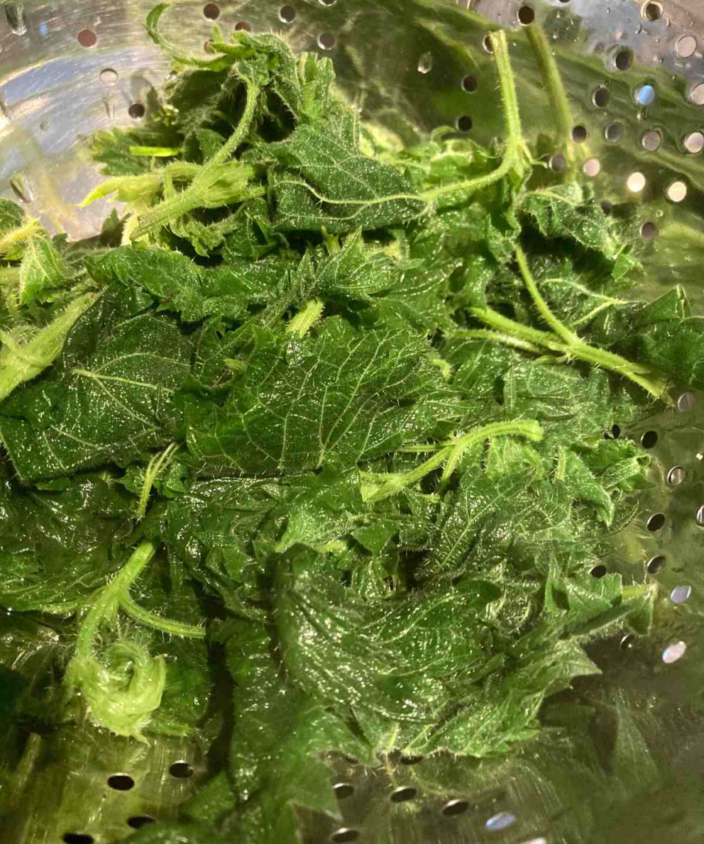 Foraged nettle soup - a recipe by Sharpham House cook Sybille Pouzet