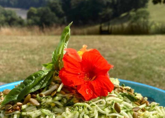 Courgette and basil vegan pesto salad, served on the sunny South Terrace at Sharpham House, looking down the River Dart