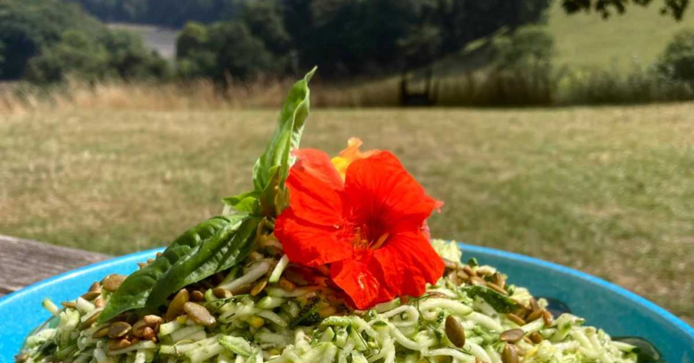 Courgette and basil vegan pesto salad, served on the sunny South Terrace at Sharpham House, looking down the River Dart