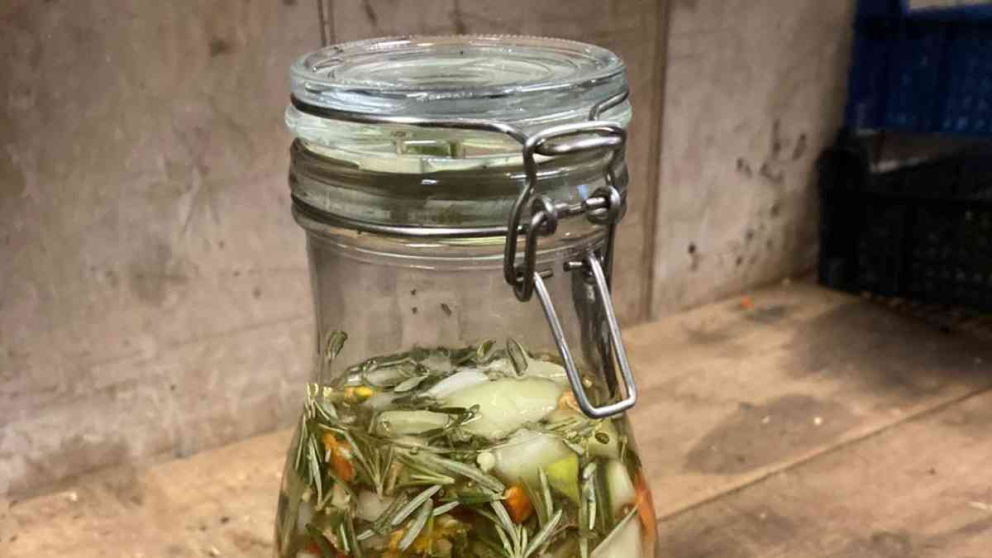 Four Thieves Fire Cider Vinegar, made at Sharpham by our garden team