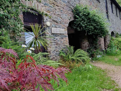 Images taken by a participant on The Barn's Touching The Earth nature-mindfulness retreat