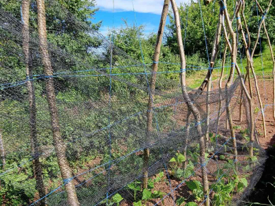 Images taken by a participant on The Barn's Touching The Earth nature-mindfulness retreat