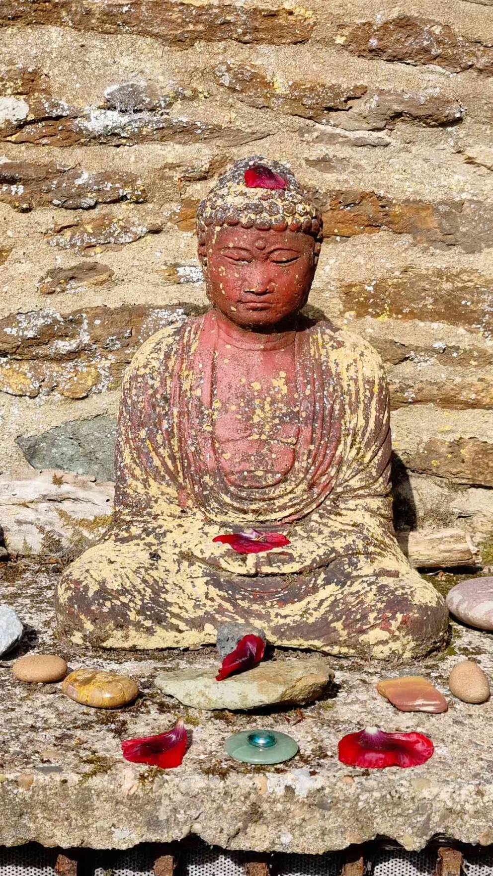 Images taken by a participant on The Barn's Touching The Earth nature-mindfulness retreat