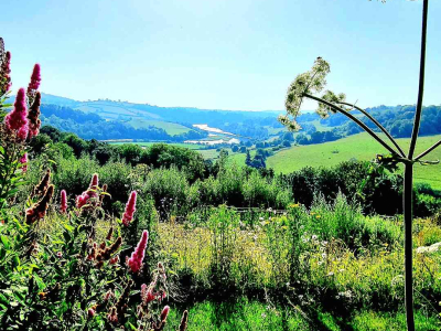 Images taken by a participant on The Barn's Touching The Earth nature-mindfulness retreat