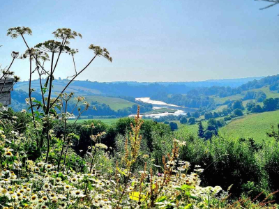 Images taken by a participant on The Barn's Touching The Earth nature-mindfulness retreat