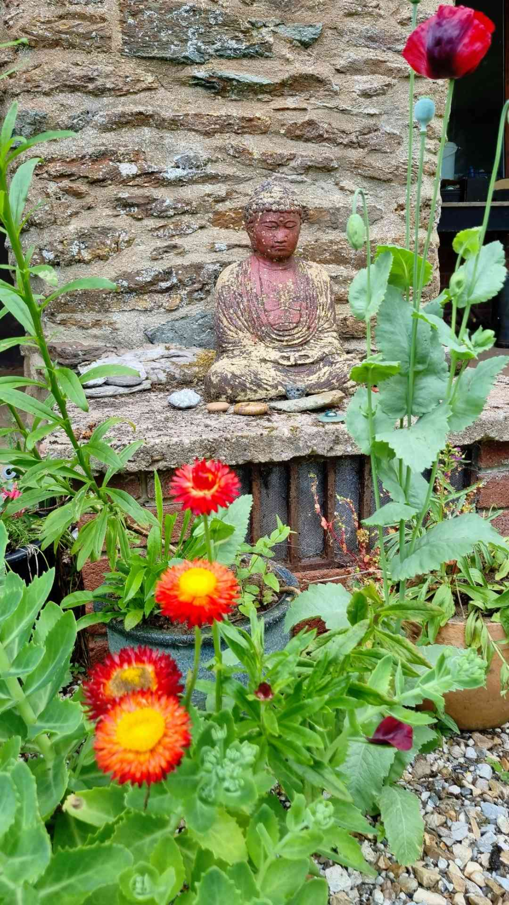 Images taken by a participant on The Barn's Touching The Earth nature-mindfulness retreat