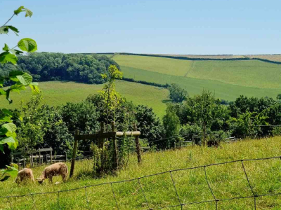 Images taken by a participant on The Barn's Touching The Earth nature-mindfulness retreat
