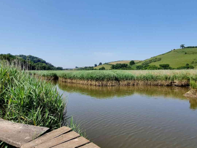 Images taken by a participant on The Barn's Touching The Earth nature-mindfulness retreat