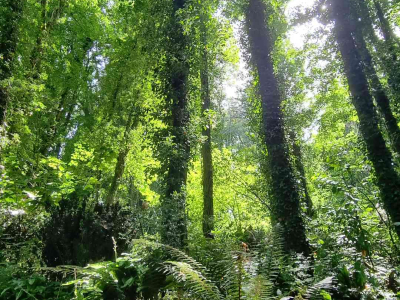 Images taken by a participant on The Barn's Touching The Earth nature-mindfulness retreat