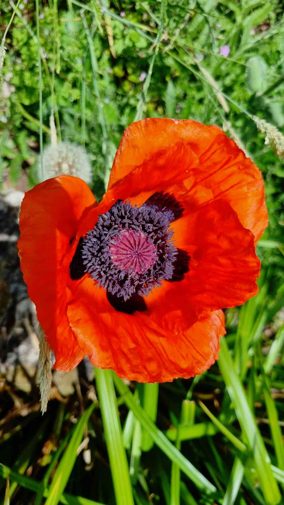 Images taken by a participant on The Barn's Touching The Earth nature-mindfulness retreat