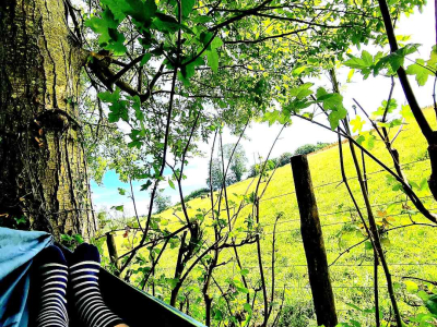 Images taken by a participant on The Barn's Touching The Earth nature-mindfulness retreat
