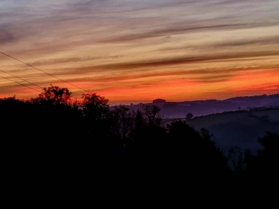 Images taken by a participant on The Barn's Touching The Earth nature-mindfulness retreat