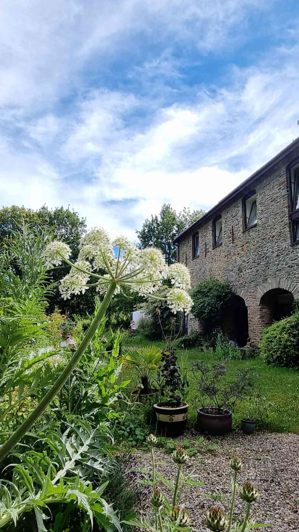 Images taken by a participant on The Barn's Touching The Earth nature-mindfulness retreat