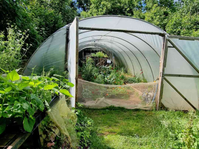 Images taken by a participant on The Barn's Touching The Earth nature-mindfulness retreat