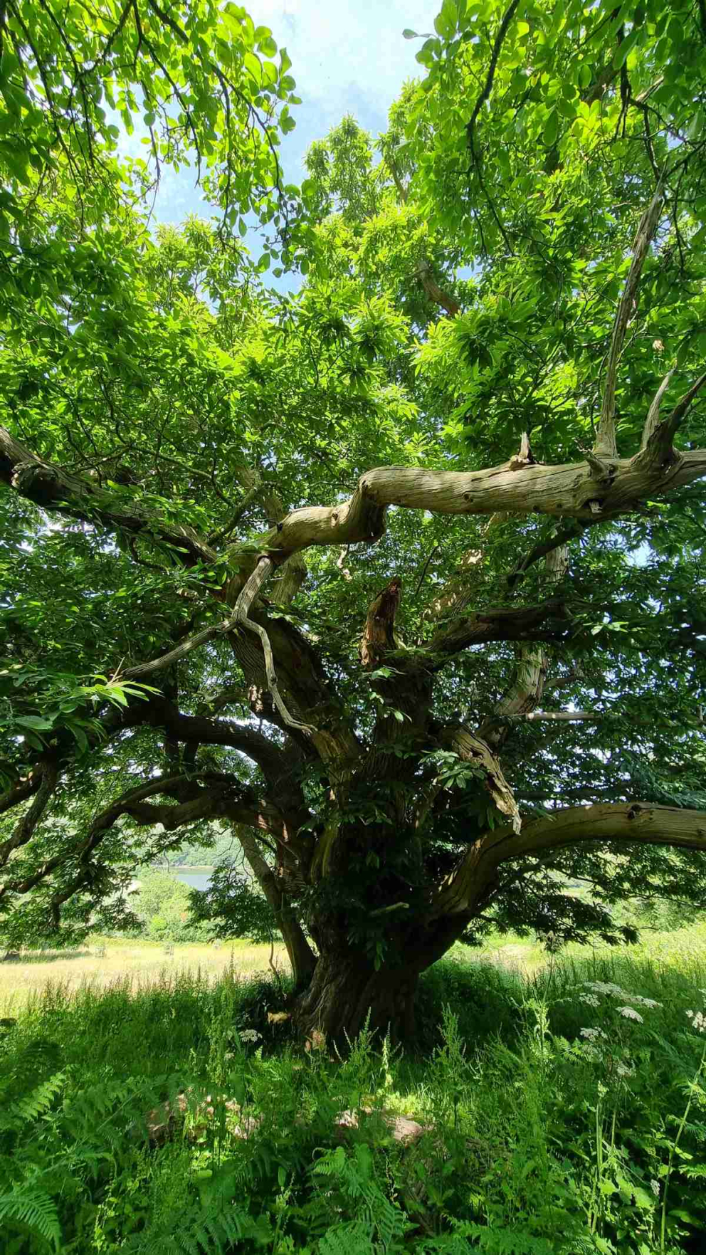 Images taken by a participant on The Barn's Touching The Earth nature-mindfulness retreat