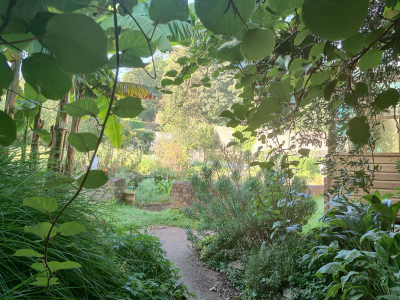 Entering the Walled Garden, by retreatant Katie