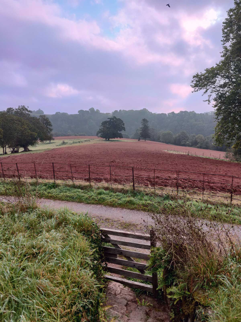 The newly-ploughed meadow-to-be, by retreatant Katie