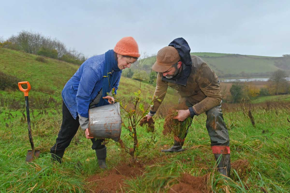 Frances Tophill & Jack Skuse plant an oak tree on the Sharpham Estate for National Tree Week