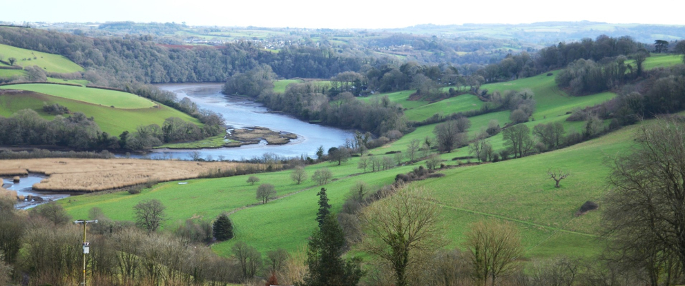 The land to be rewilded at The Sharpham Estate
