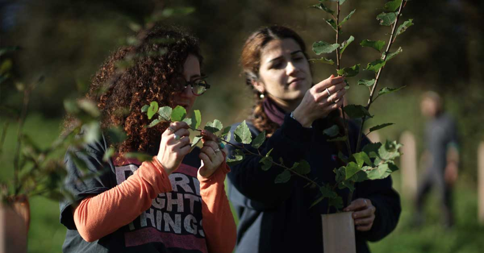 Rewilding through tree planting by Ambios on The Sharpham Estate
