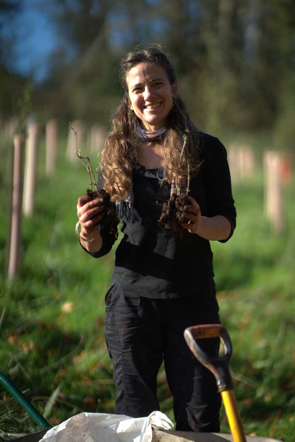 Rewilding through tree planting by Ambios on The Sharpham Estate