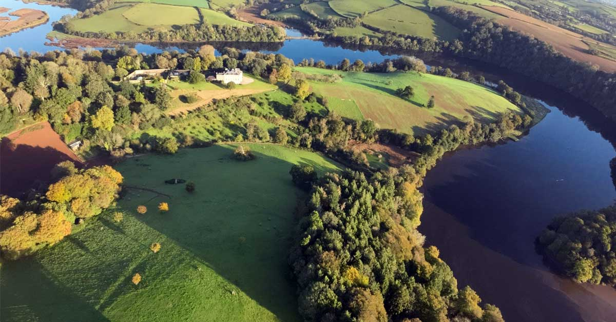 Aerial view of the newly-planted wildflower meadow