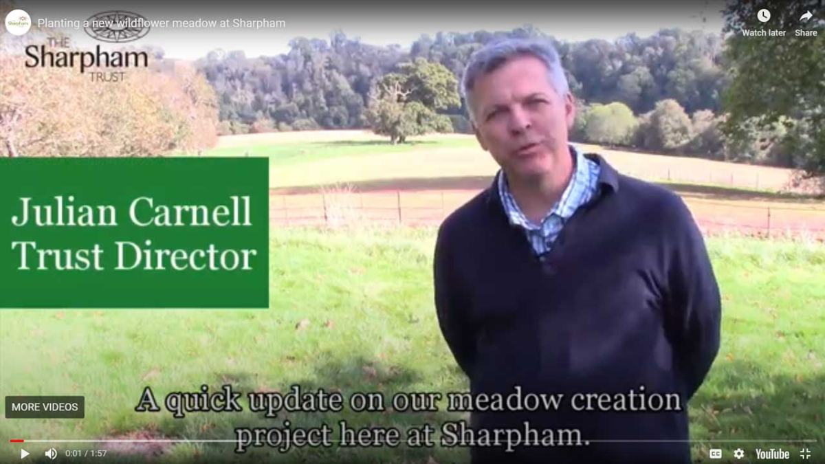 Trust Director Julian Carnell describes our new meadow