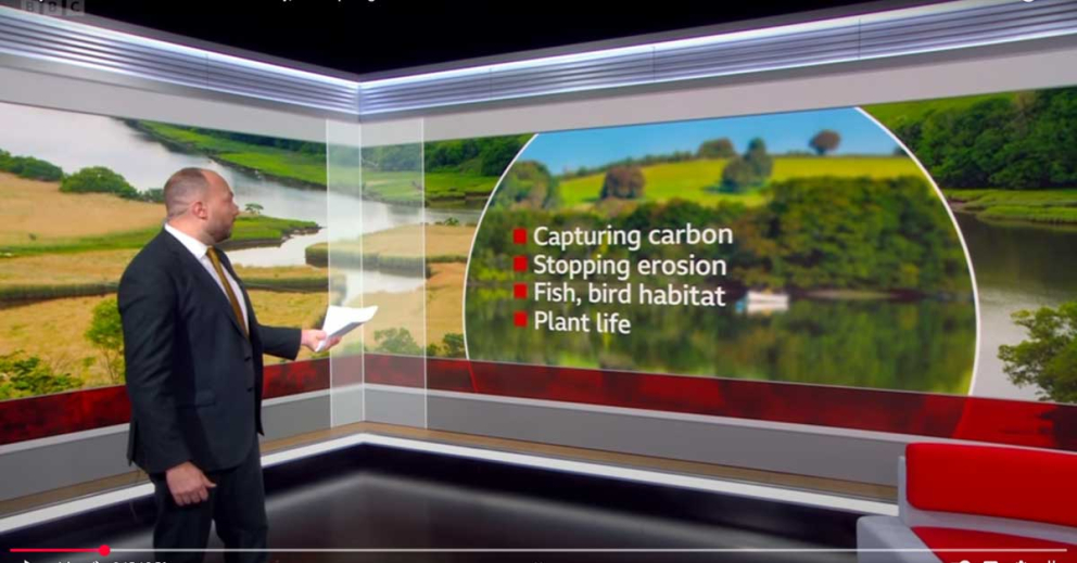 BBC Devon coverage of the project to protect saltmarsh on the River Dart near mindfulness retreat centre The Sharpham Trust