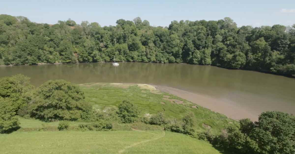Saltmarsh on Sharpham Point