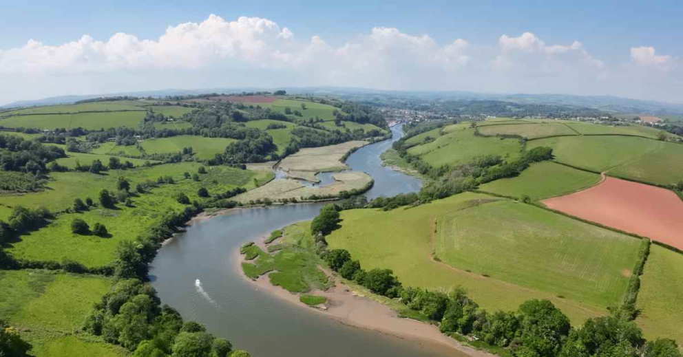 Saltmarsh opposite The Sharpham Estate