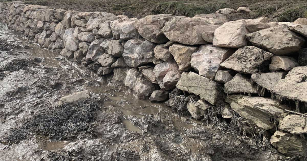 The repaired stone wall beside the River Dart at South Quay on the Sharpham Estate - March 2025