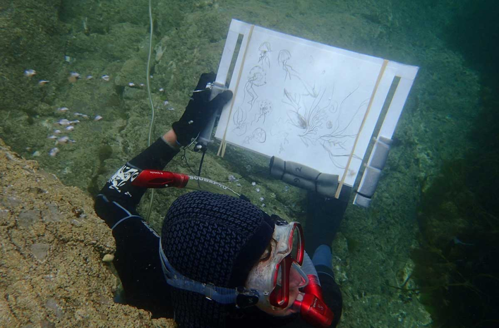 Printmaker Louise Scammell drawing underwater