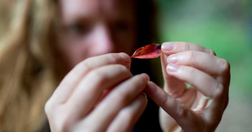 Be mindful in nature on retreats at The Sharpham Trust