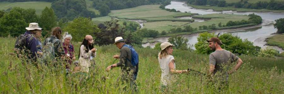 Bioblitz
