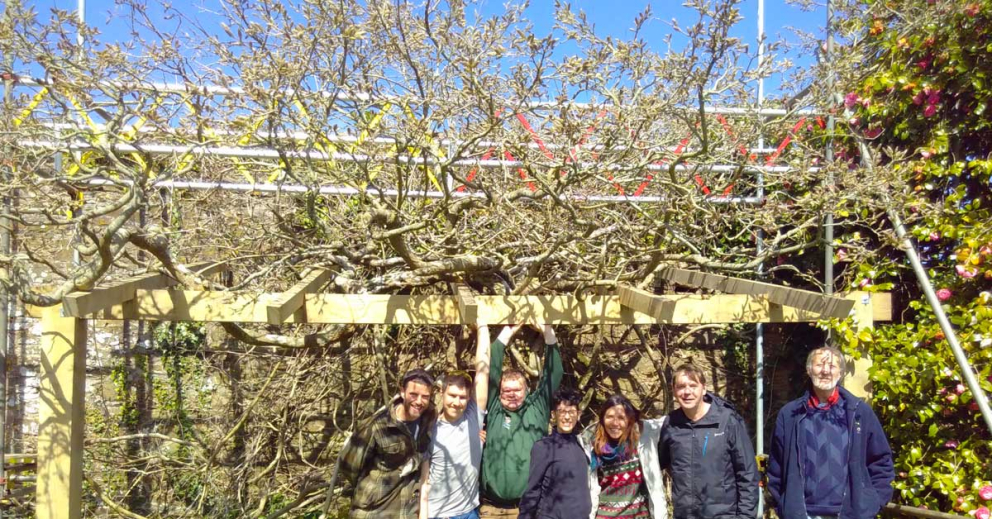 Volunteers at The Sharpham Trust build a new pergola